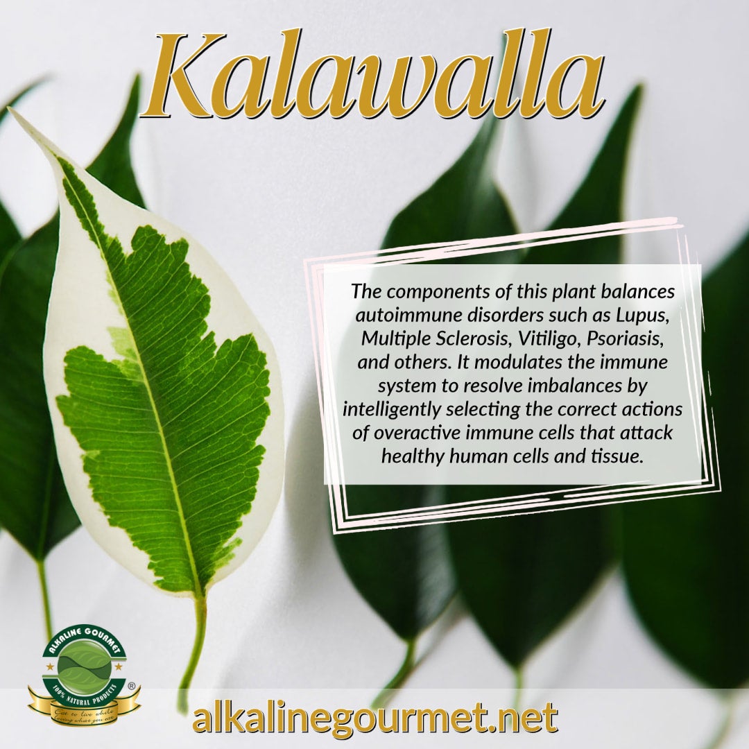 Kalawalla 